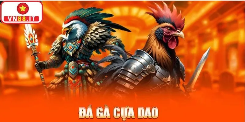 Đá Gà Cựa Dao Tại Vn88 Và Luật Chơi Cơ Bản Người Chơi Cần Biết 3 Đá Gà Cựa Dao Tại Vn88 Và Luật Chơi Cơ Bản Người Chơi Cần Biết